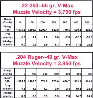 204 ruger or 22-250 for pairedogs/groundhogs - PredatorMasters Forums